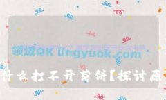  TPWallet为什么打不开薄饼？探讨原因与解决方案