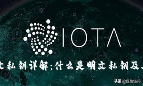 TPWallet明文私钥详解：什么是明文私钥及其安全性分析